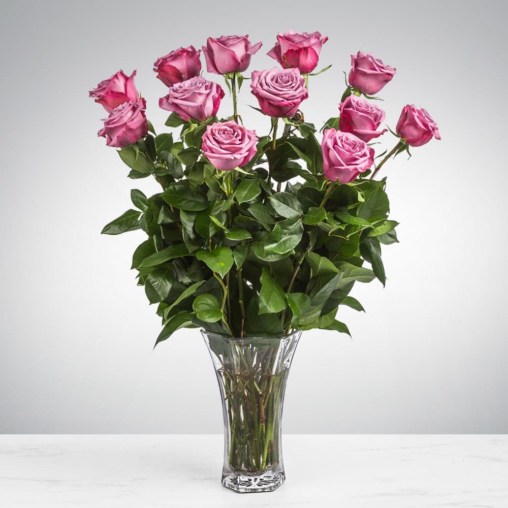 Dozen Long Stemmed Lavender Roses — composed by Taylor Breshears Studio