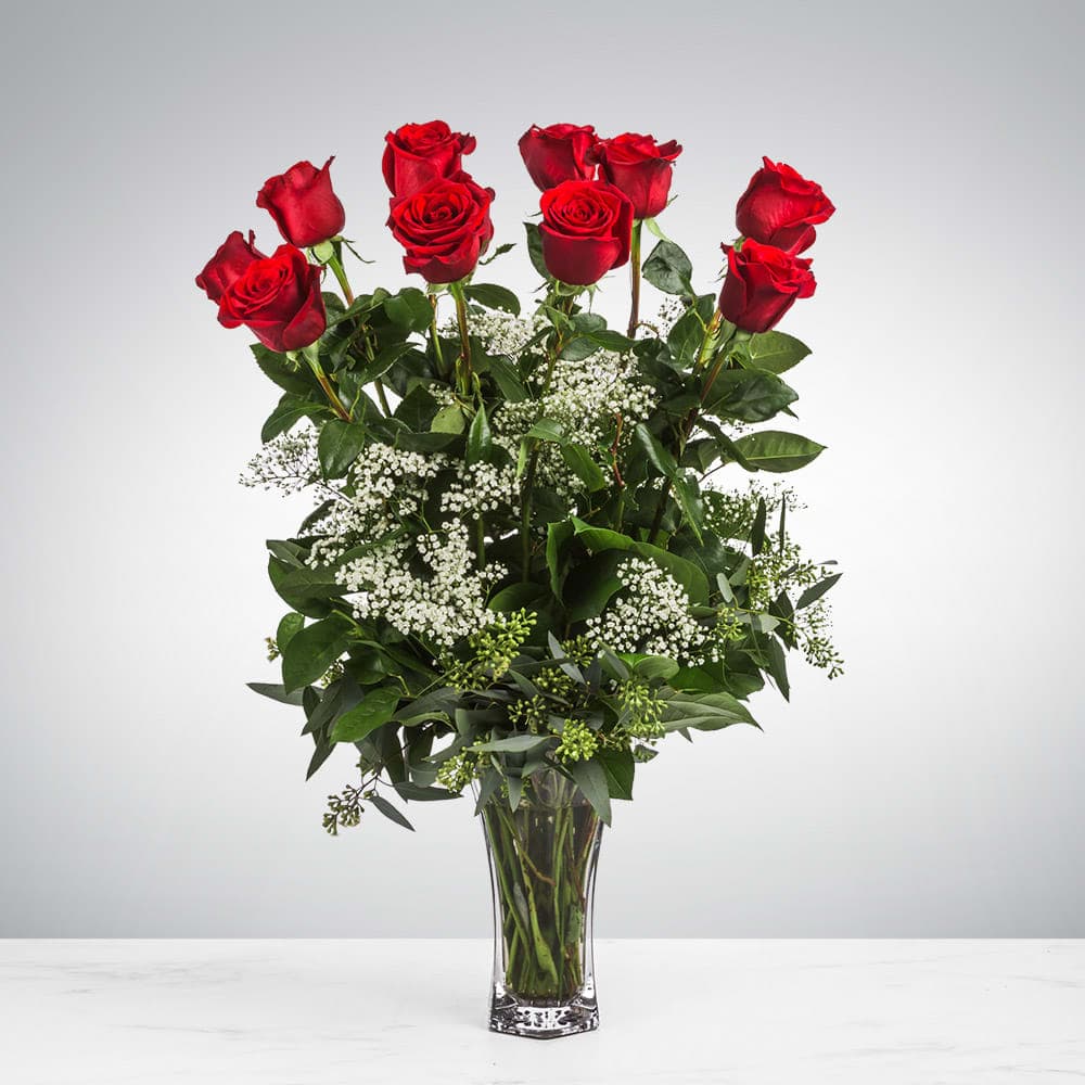 Dozen Long Stemmed Red Roses with Baby's Breath — composed by Taylor Breshears Studio
