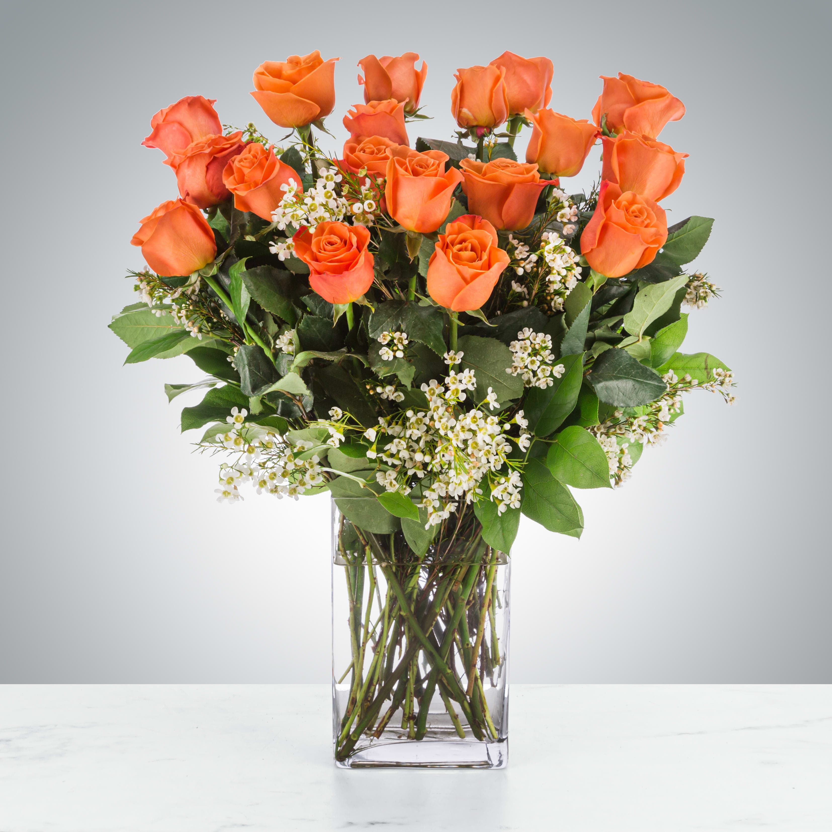 Long Stem Coral Roses — composed by Taylor Breshears Studio