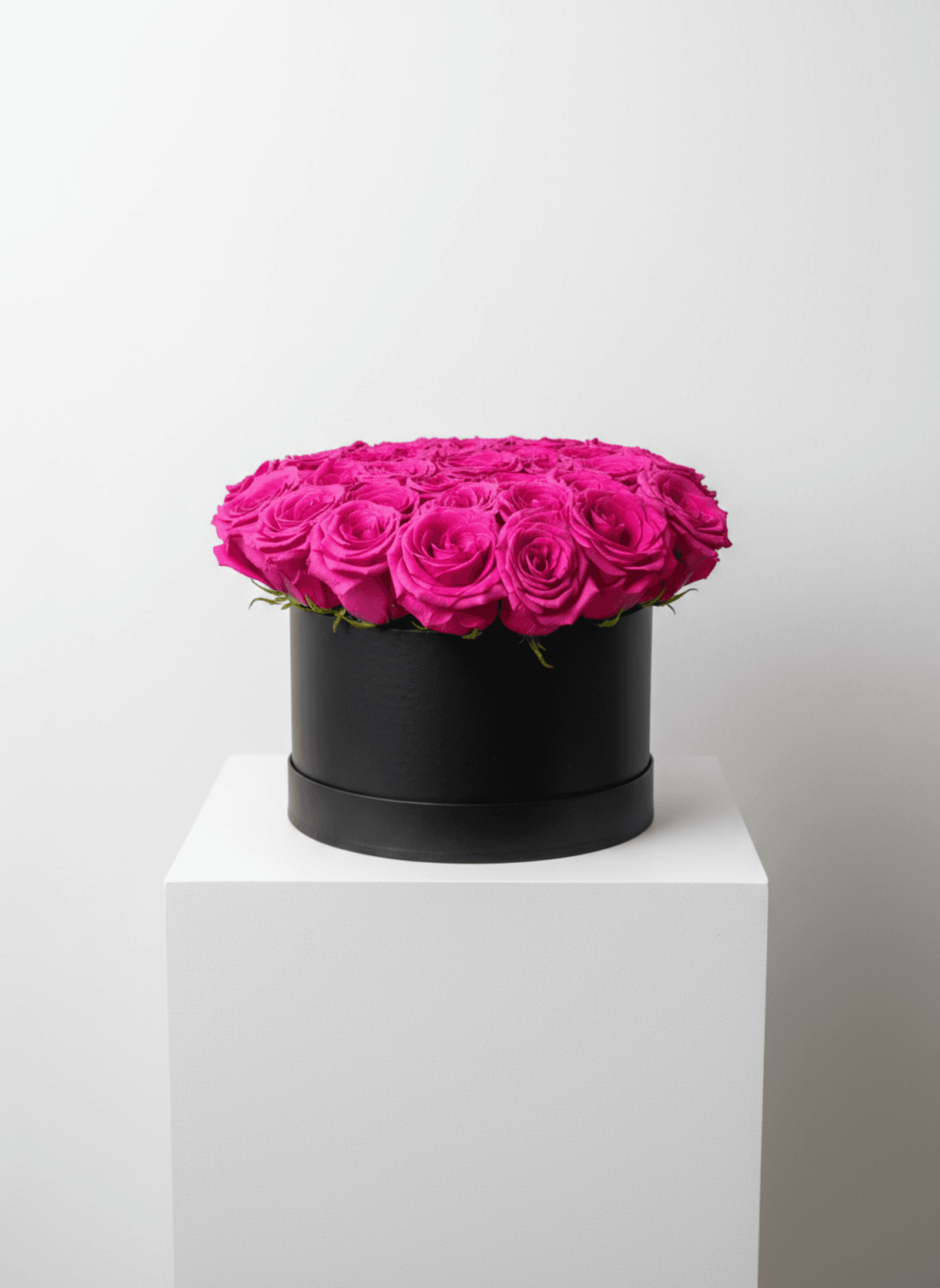 The Statement Box — composed by Taylor Breshears Studio